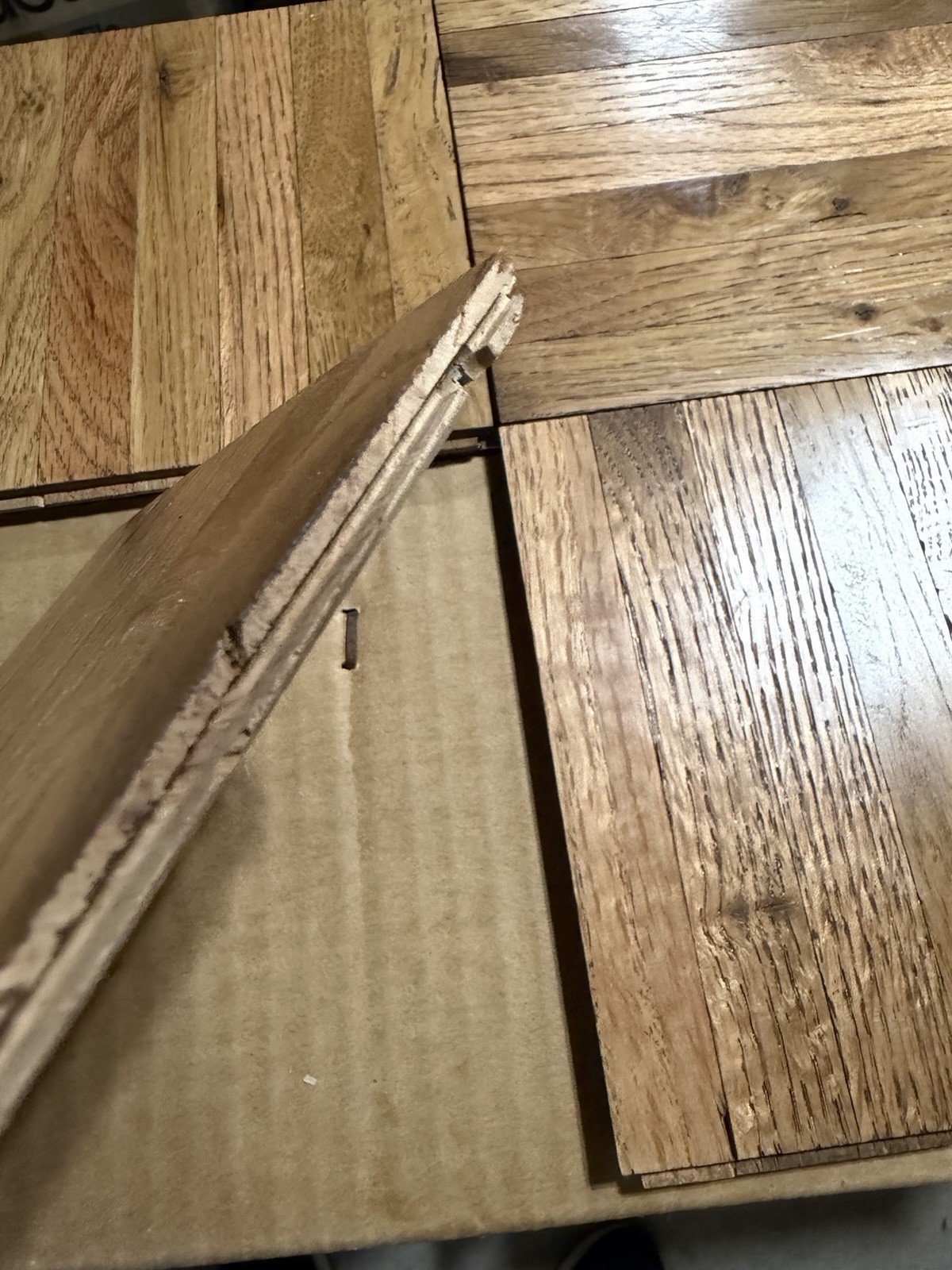 Oak Parquet Flooring COLOR TILE HONEY 6x6x5/16: 20 Tiles (5 Sq Ft)