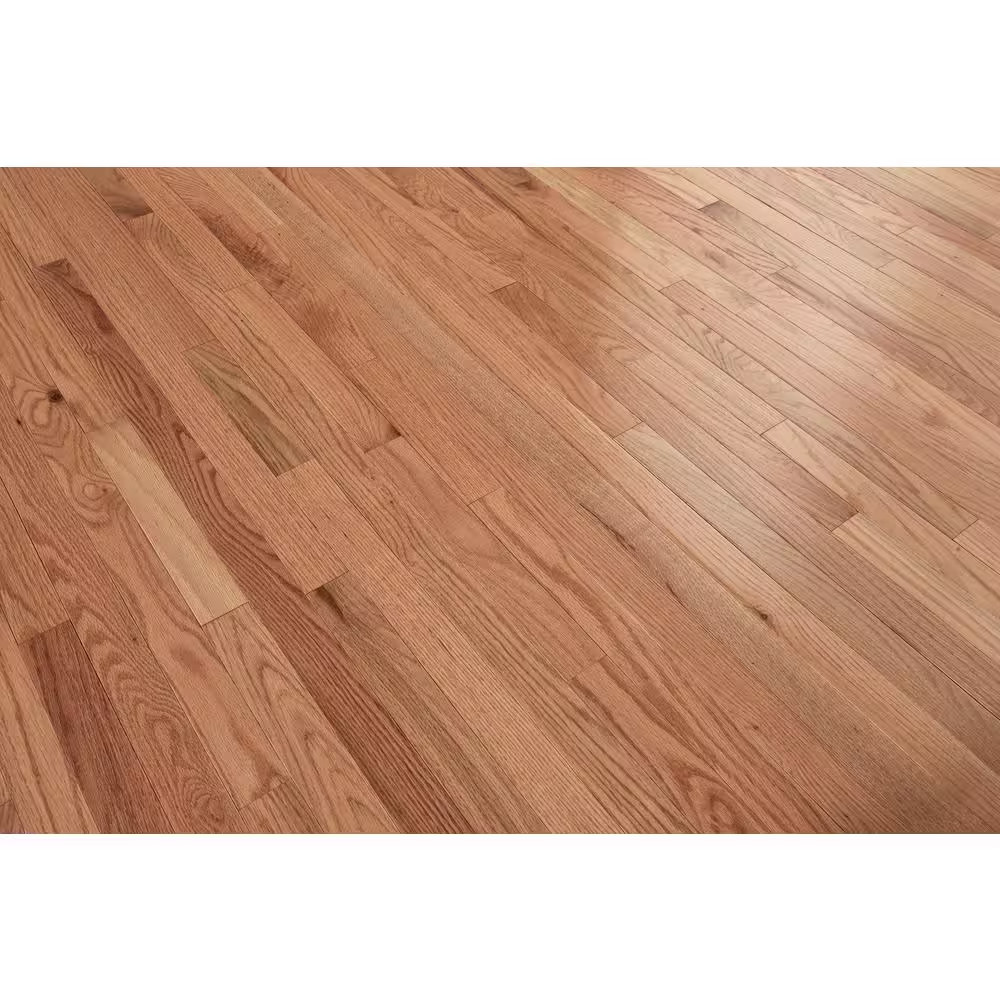 American Originals Natural Red Oak 3/4 In. T X 3-1/4 In. W Smooth Solid Hardwood