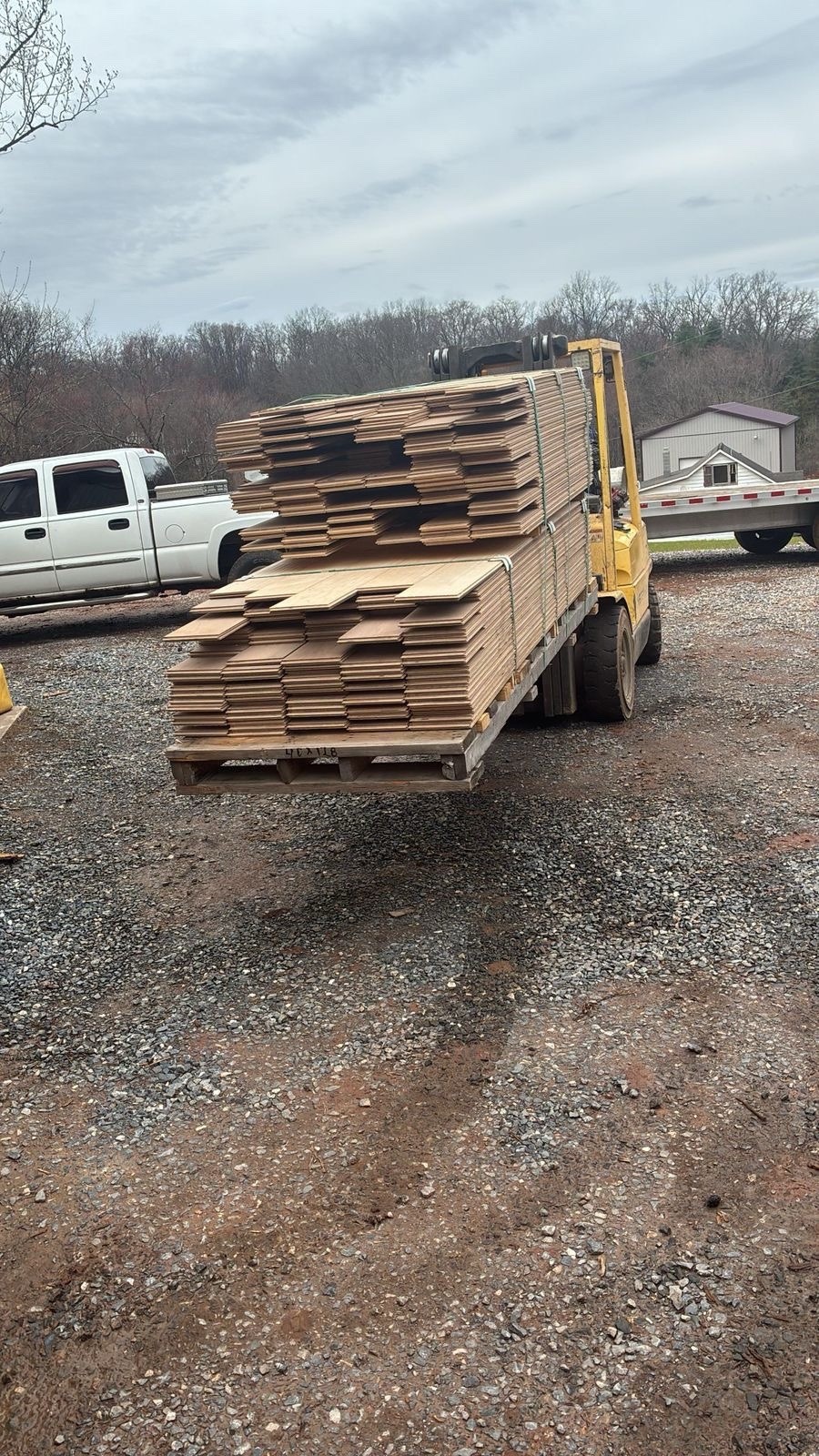 Walnut Solid & Engineered Wood Flooring Unfinished 5 7 8in Wide Planks