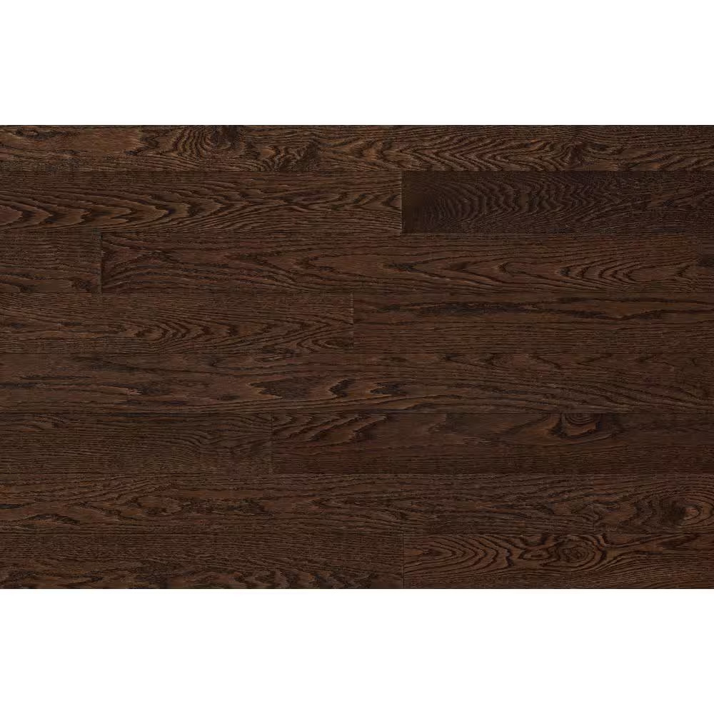 American Originals Barista Brown Oak 3/4 In. T X 5 In. W Smooth Solid Hardwood F