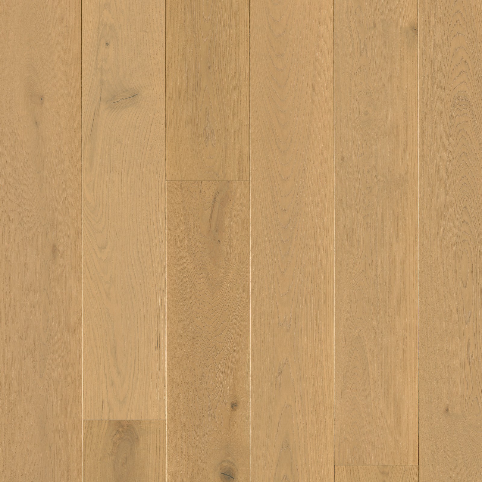 Ackland AKVEW9.5X86-0604-PL Sterlington 9″W Wire Brushed – Elmont Blonde