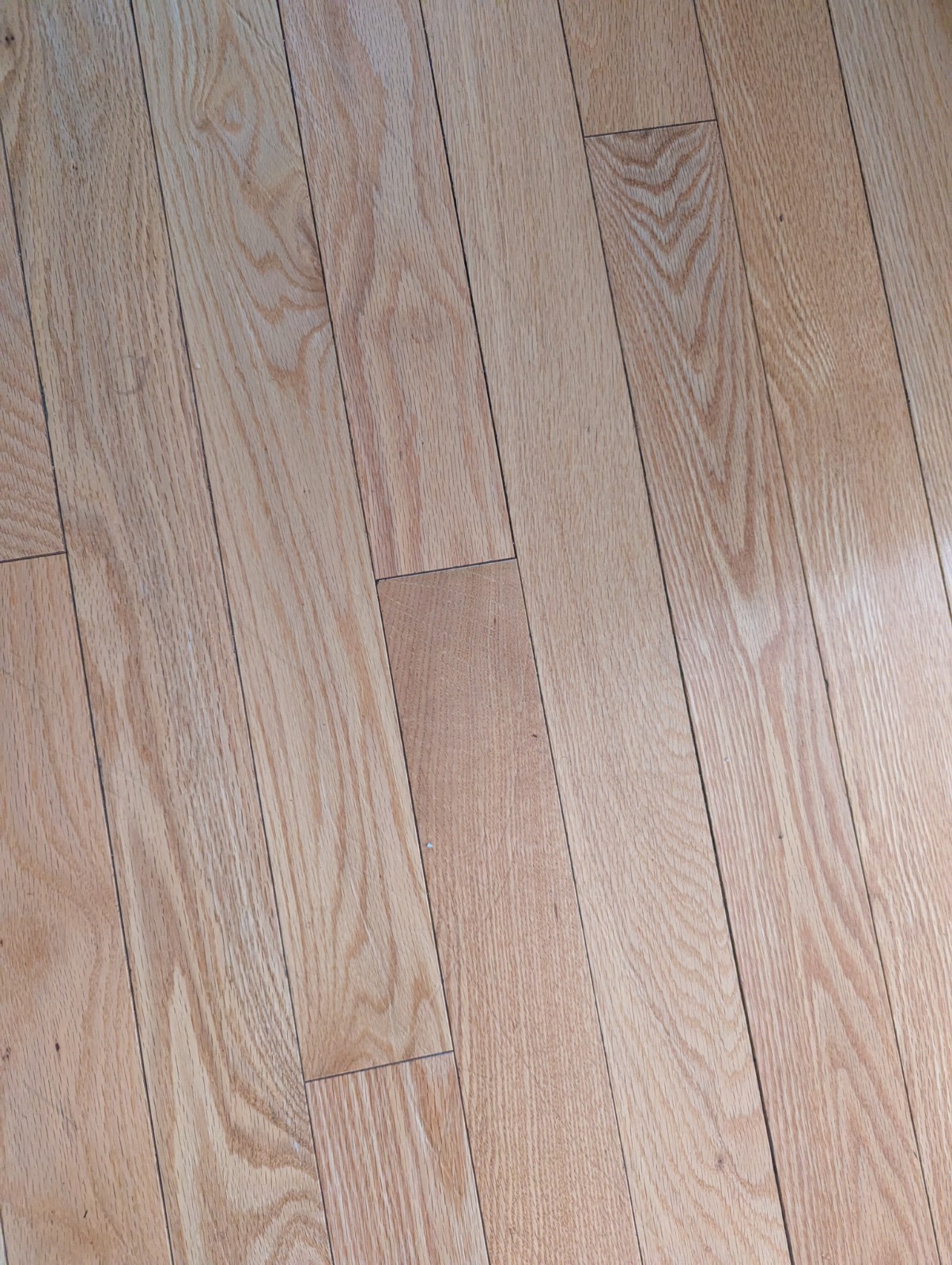 Solid Red Oak Hardwood Flooring – Prefinished – Approx 30–40 Sq Ft