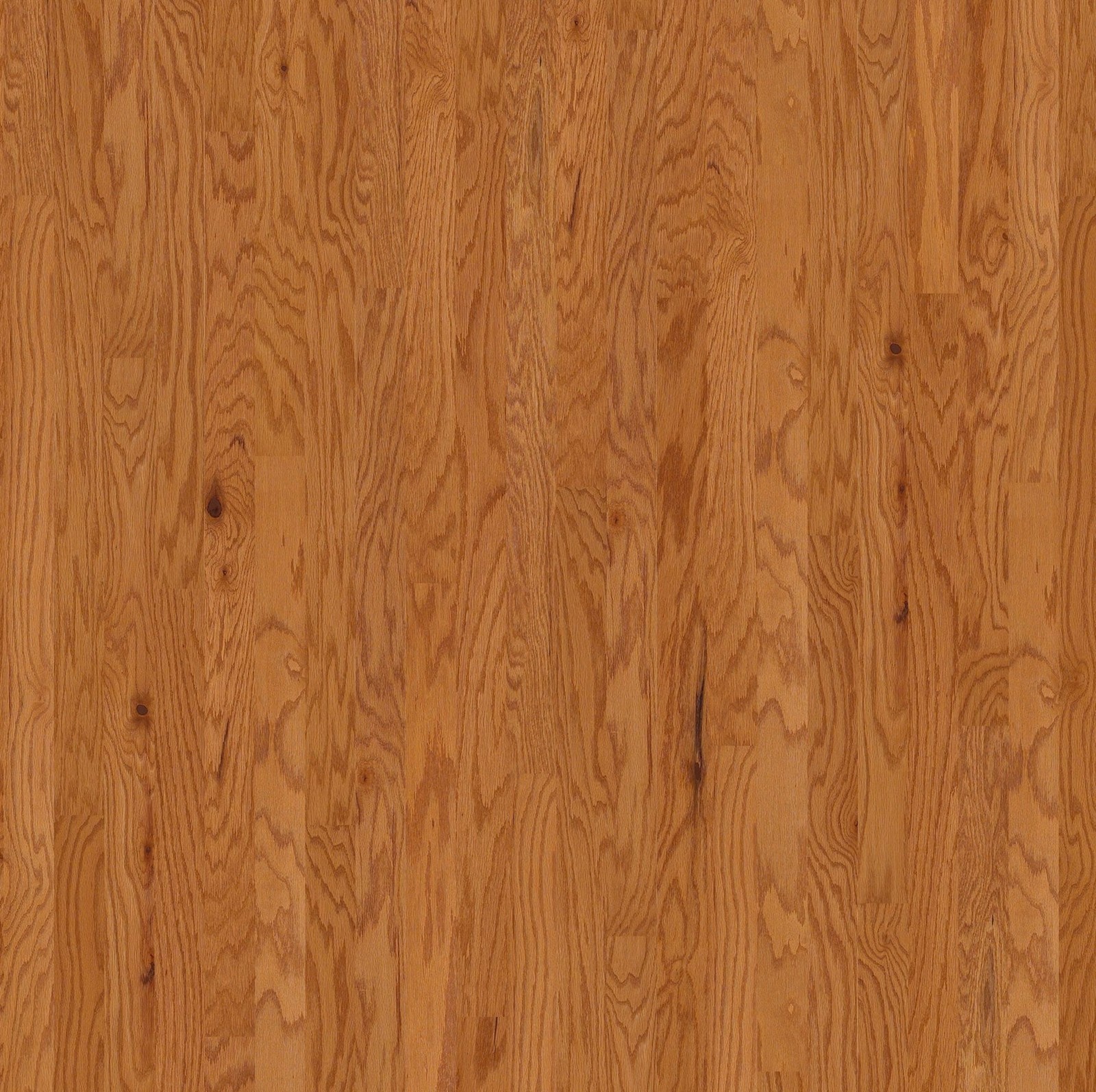 Shaw SW581 Albright Oak 3-1/4″W Smooth Engineered Red Oak – Caramel